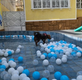 Piscina-1.jpg